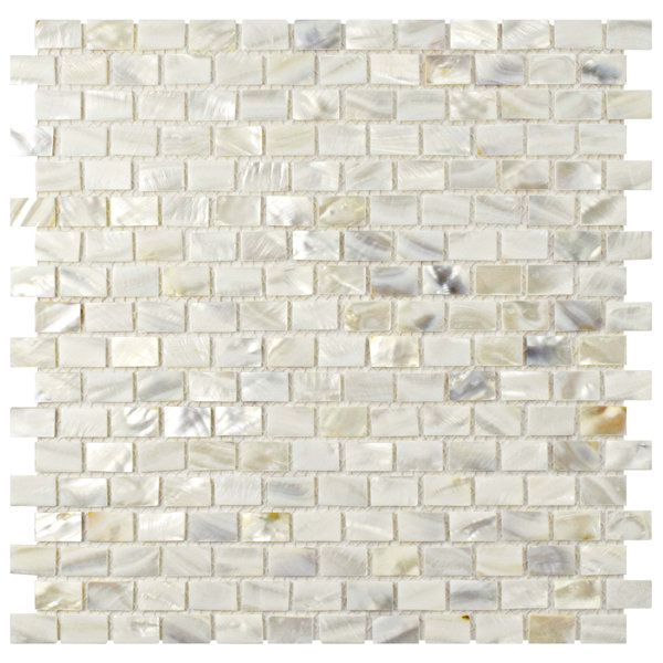 Shore 1 x 1 Seashell Mosaic Wall Tile in White by EliteTile
