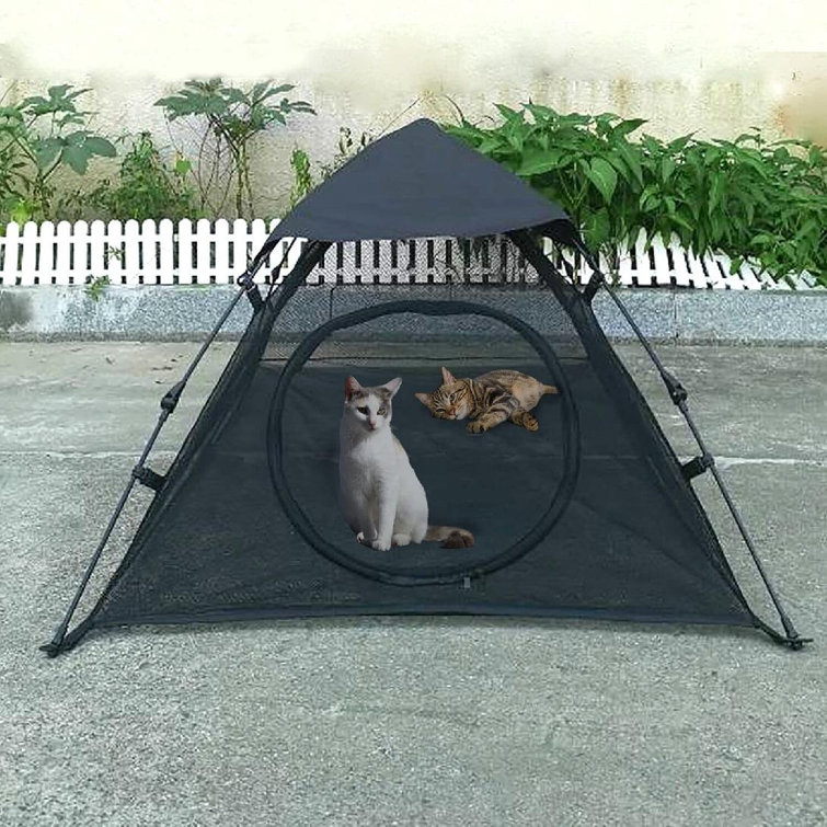 cat tent for outside