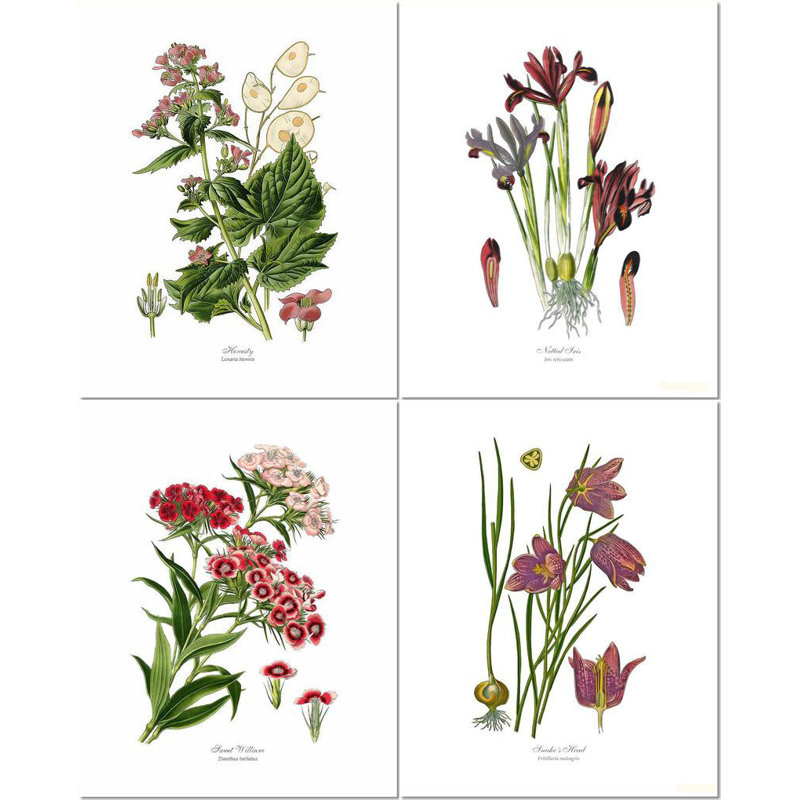 August Grove Vintage Violet Flower 4 Piece Drawing Print Set Cute violet flower fairy image! vintage violet flower 4 piece drawing print set