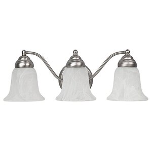 Owatonna 3-Light Vanity Light