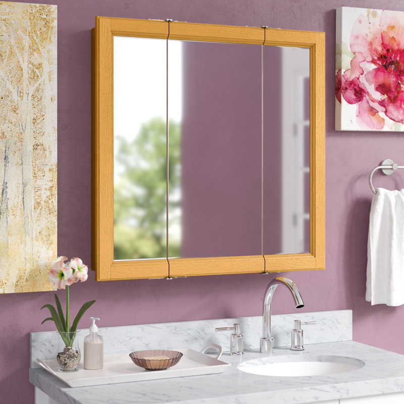 Winston Porter Searle Surface Mount Framed 3 Door Medicine with