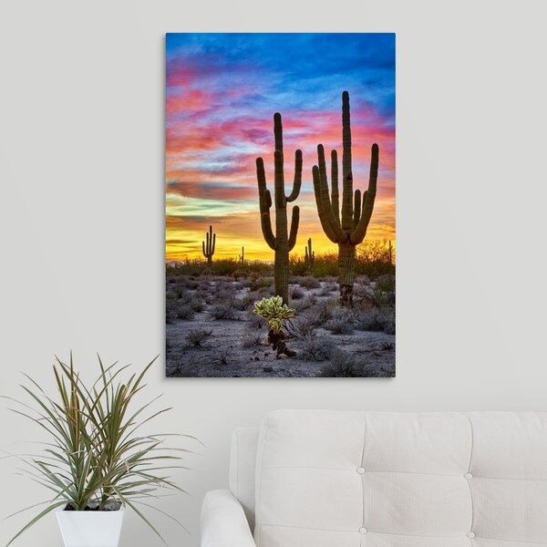 Matt Suess Photography 'Sunset In The Desert With Saguaro Cactus ...