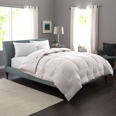 Extra Warmth Summer Down Comforter Pacific Coast Feather Size Twin