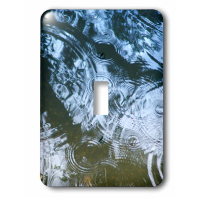 Rain Reflection Toggle Light Switch 3dRose