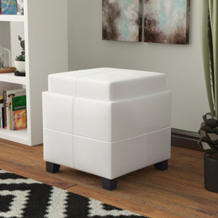 Ellingson Storage Ottoman