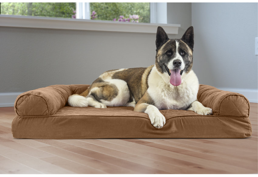 Dog Beds You Ll Love In 2020 Wayfair Ca