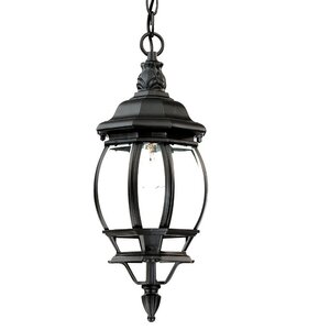 Reva 1-Light Outdoor Hanging Lantern