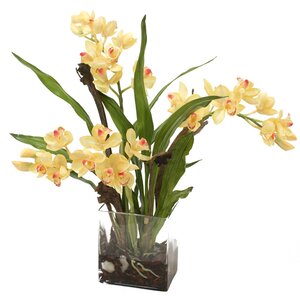 Waterlook Silk Orchid Plant in Rectangular Vase