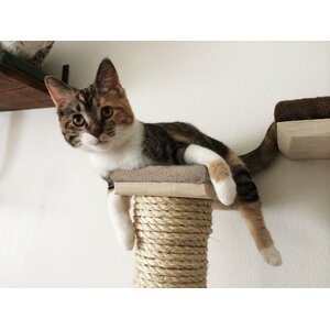 Vertical Sisal Scratching Post