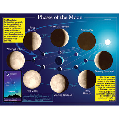 Phases of The Moon Chart Frank Schaffer PublicationsCarson Dellosa Publications