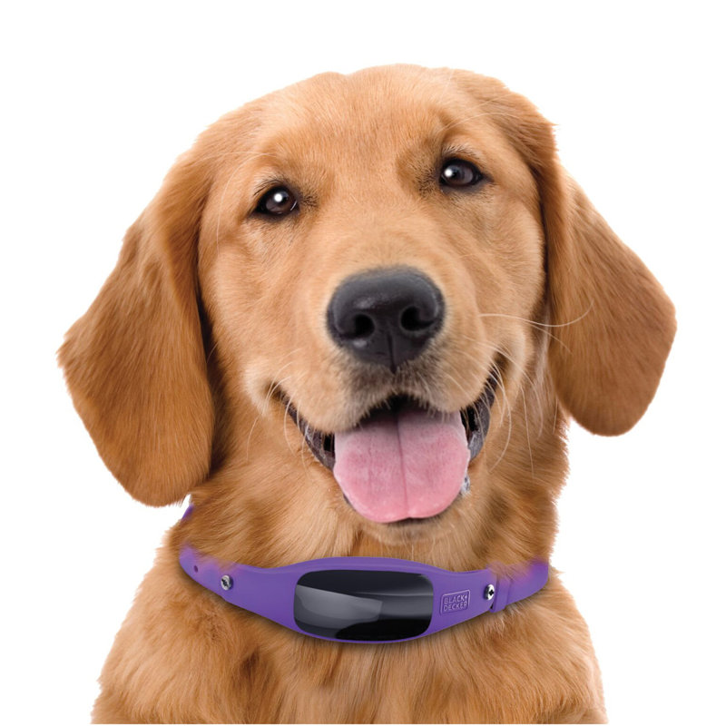 Black Decker Smart Dog Collar Wayfair