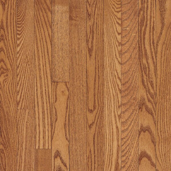Dundee 2-1/4 Solid Red Oak Hardwood Flooring in Butterscotch by Bruce Flooring