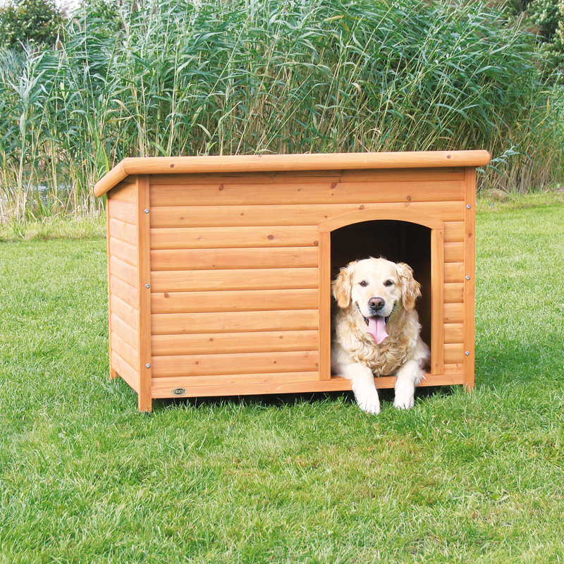 Dog Houses For Large Dogs - WebNuggetz.com | WebNuggetz.com