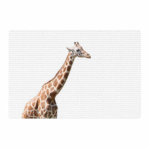 Sylvia Coomes Giraffe Animals Photography White/Brown Area Rug