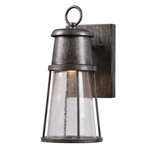 Colton 1-Light Outdoor Wall Lantern