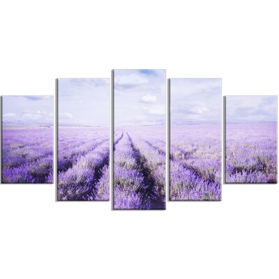 'Fields of Lavender Against Blue Sky' 5 Piece Photographic Print on Wrapped Canvas Set Design Art