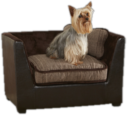 Dog Beds You Ll Love Wayfair Dog Beds By Type
