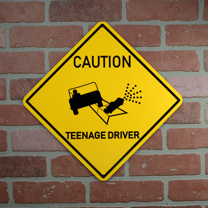 Treasure Gurus Funny Caution Teenage Driver Metal Sign Car Prank