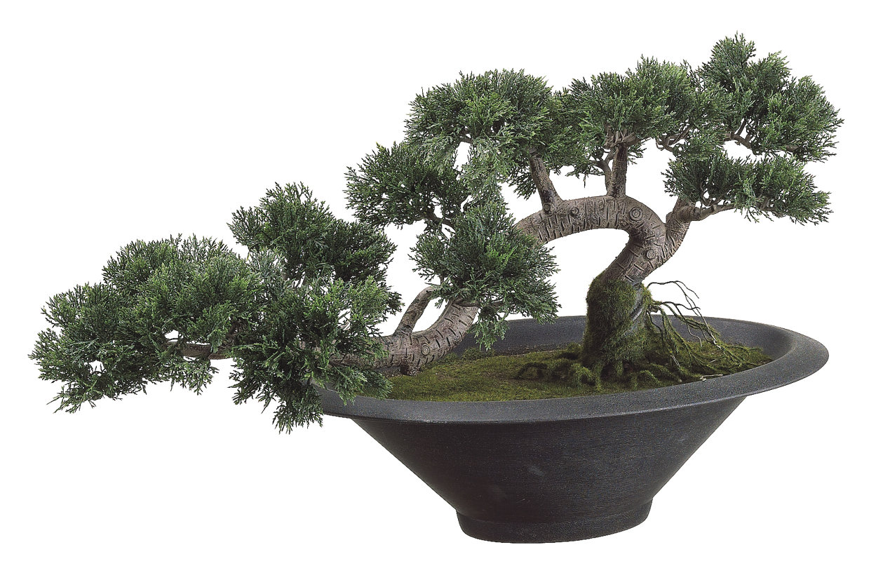 Tori Home Trailing Cedar Artificial Bonsai Desk Top Plant in Pot