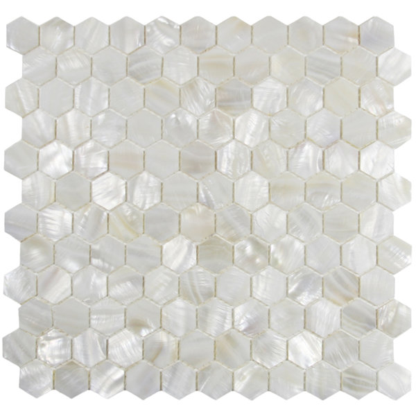 Arctic 1 x 1 Seashell Mosaic Tile in White by CNK Tile