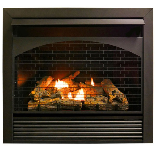 See Thru Gas Fireplace Wayfair