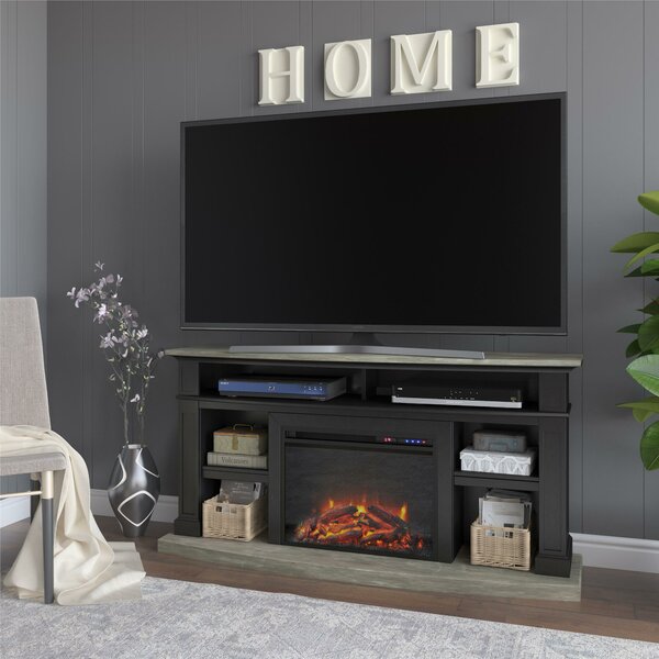 Darby Home Co TV Stand Fireplaces