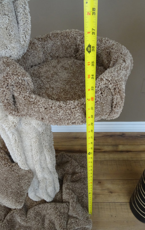 New Cat Condos 51" Premier Cat Tree & Reviews Wayfair.ca