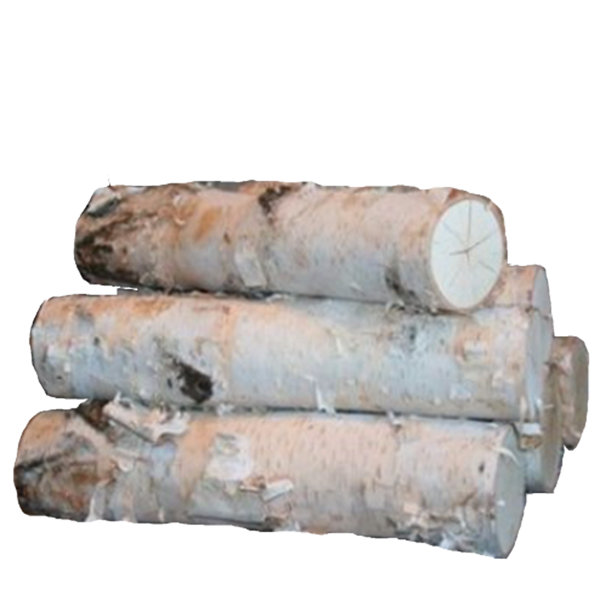 5 Piece Wood Fireplace Set by Wilson Enterprises, Inc.