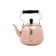 Old Dutch International Hammered 2 Qt. Tea Kettle ...