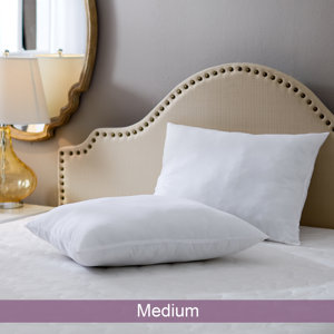 Wayfair Basics Medium Pillow (Set of 2)
