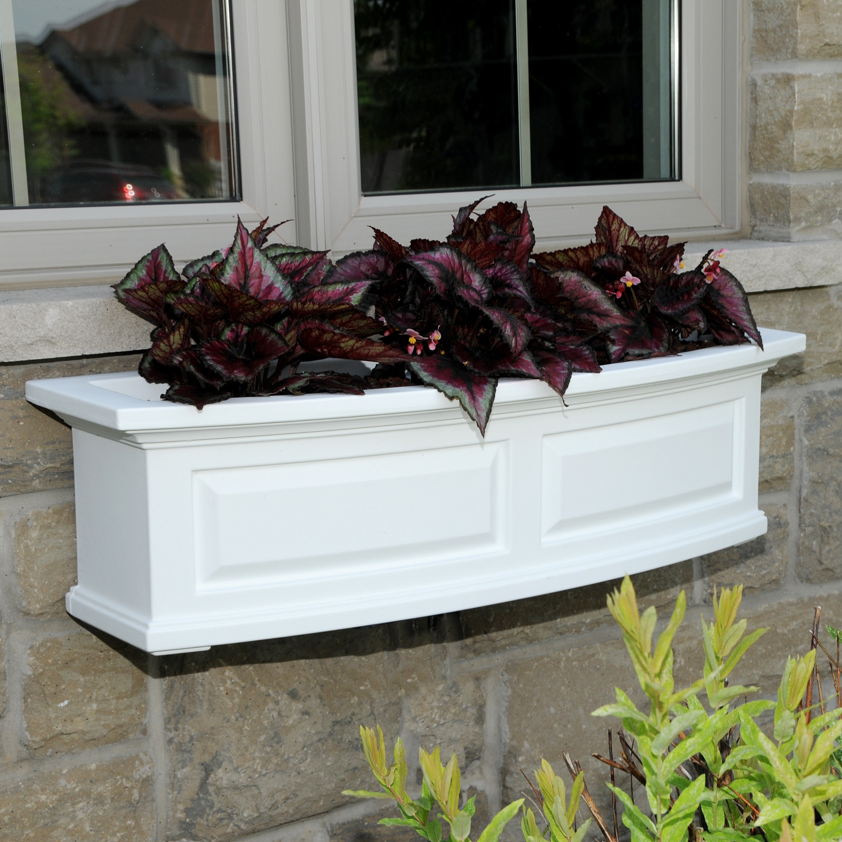 Kentshire Self Watering High Grade Polyethylene Window Box Planter Reviews Joss Main