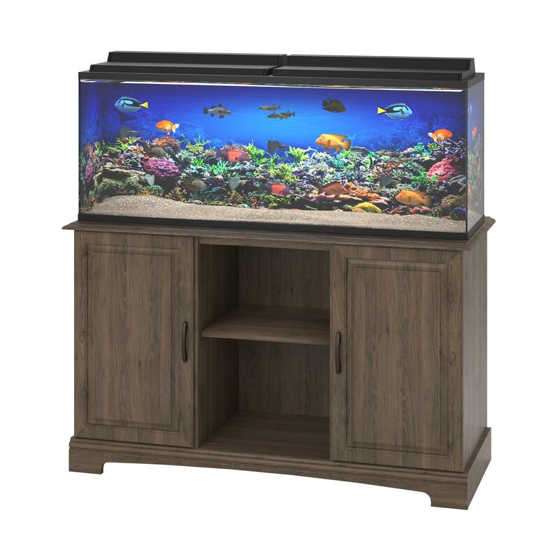 Archie & Oscar Deirdre 75 Gallon Aquarium Stand & Reviews | Wayfair