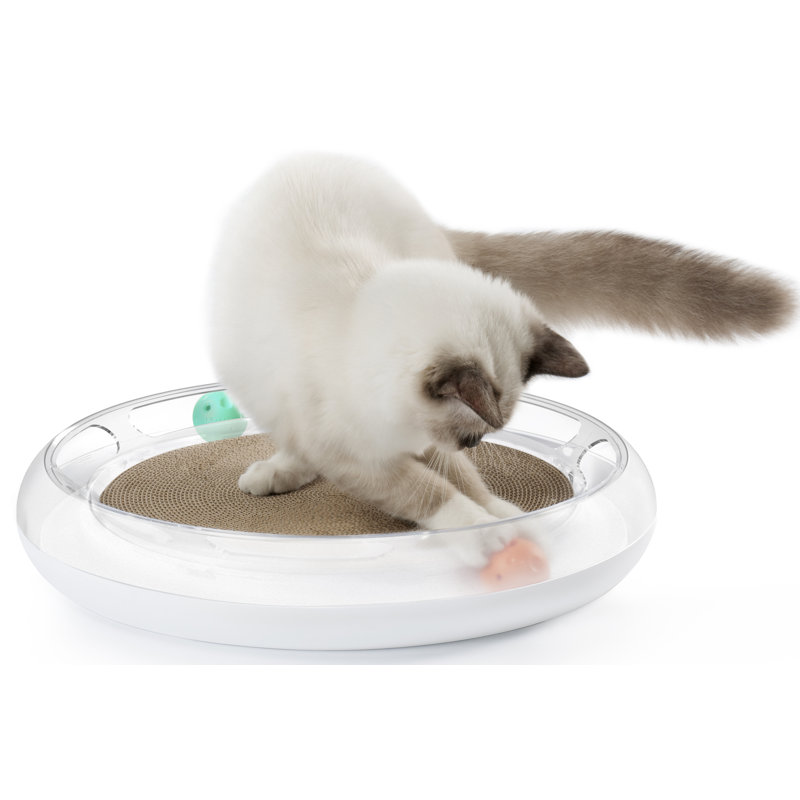 Tucker Murphy Pet Holyoke Swipe Interactive Chaser Lounger Toy And