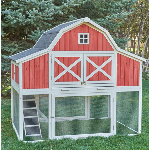 Barn Chicken Coop with Roosting Bar by Chicken Saloon