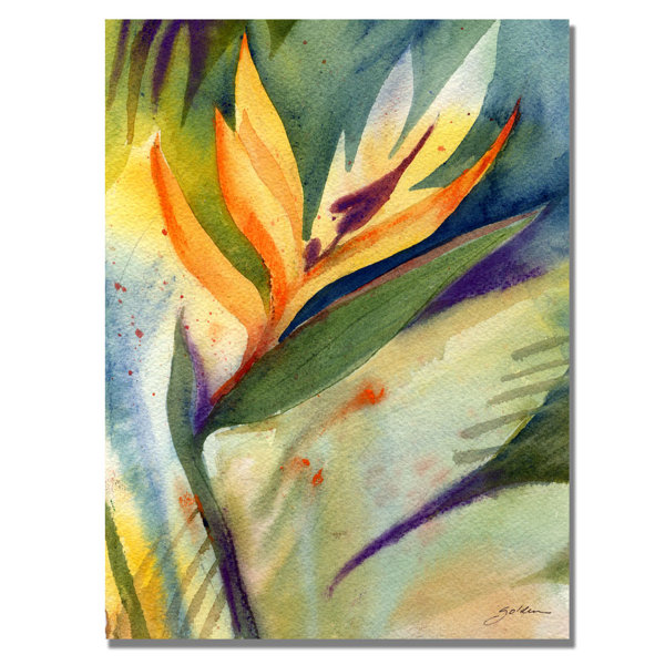 Trademark Art Bird Of Paradise By Sheila Golden Painting Print