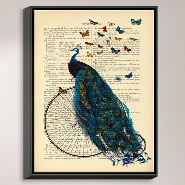 Dianochedesigns Peacock Bicycle Butterflies Frame Graphic Art Print On Canvas Wayfair