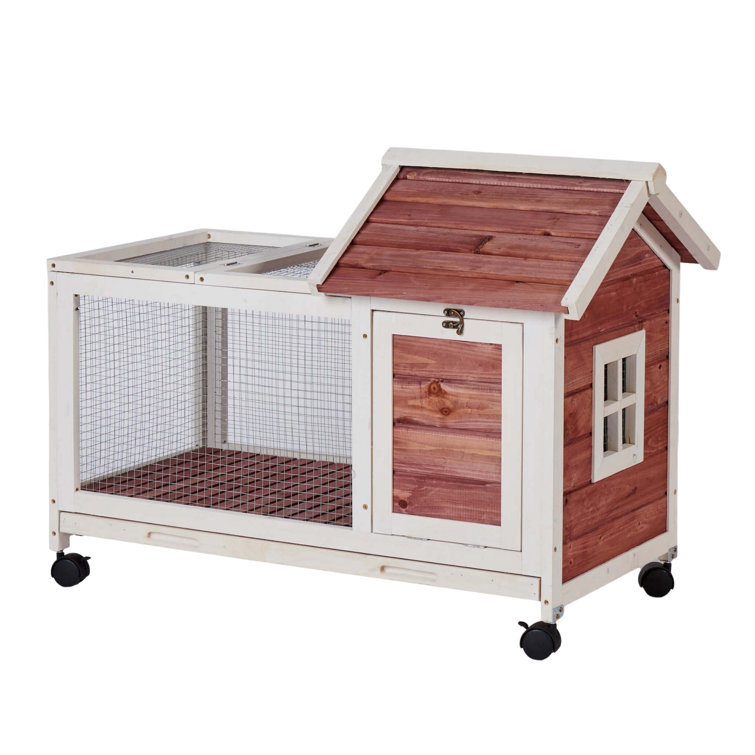 rabbit cage wayfair