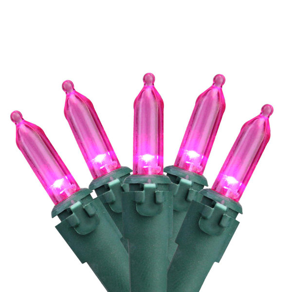 LED Mini Christmas 50 Light String Light by The Holiday Aisle