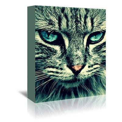 Wonderful Cat with Special Eyes Photographic Print on Wrapped Canvas East Urban Home Size: 20