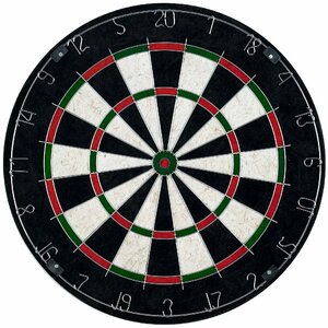 Professional Bristle Dartboard Set