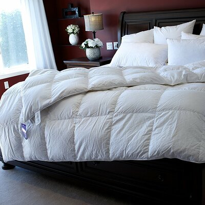 Hutterite And European Down Pillows Royal Elite White Bedding Bed