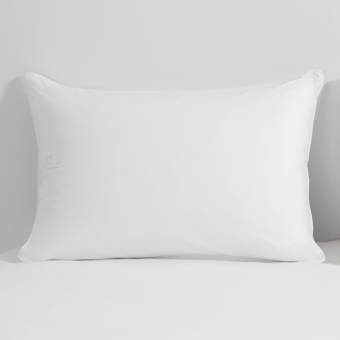 Lauren Ralph Lauren Arctic Down And Feathers Pillow Reviews