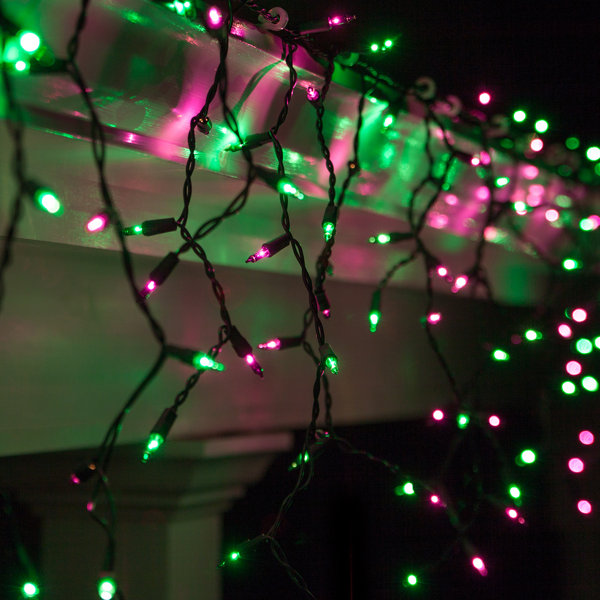 150 Purple/Green Mini Icicle Light String by Kringle Traditions