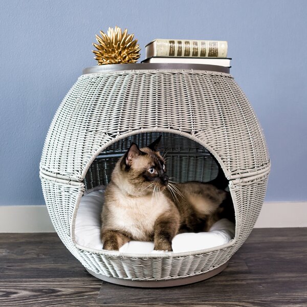 Cat Furniture | Wayfair