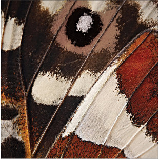 Animal Print Cloth Napkins You Ll Love Wayfair Bellinger Erfly Luncheon Napkin Set Of 16
