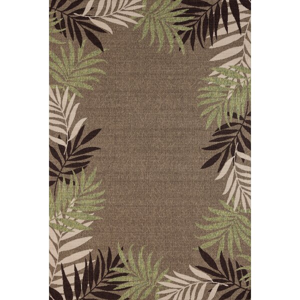 Springcreek Beautiful Tropical Palm Leaves Brown/Green Indoor/Outdoor Area Rug by Bay Isle Home