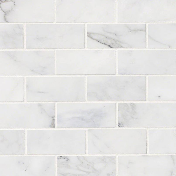Calacatta Cressa Honed 2 x 4 Marble Subway Tile in White by MSI