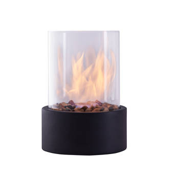 Blomus Fuoco Gel Fuel Tabletop Fireplace Reviews Wayfair Ca
