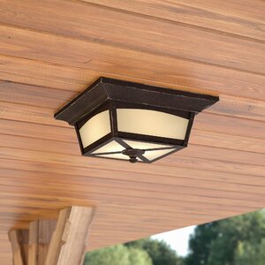 Mason 1-Light Outdoor Flush Mount