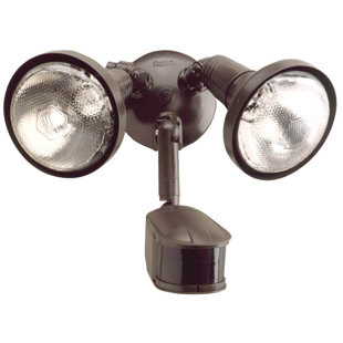 Best 2-Light Outdoor Spotlight By CooperRegentLighting Outdoor Lighting 2-Light Outdoor Spotlight By CooperRegentLighting Outdoor Lighting